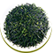 Sencha