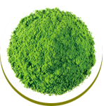 Matcha: Green tea powder