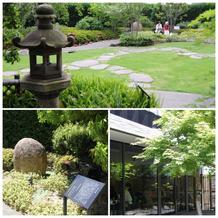 歌舞伎座の屋上庭園で新緑と歴史に触れる